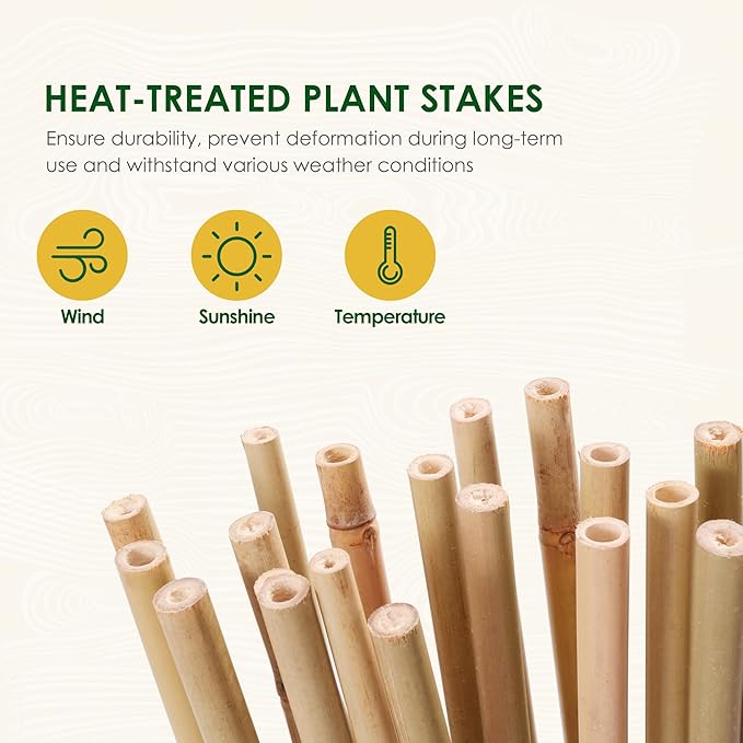 Bamboo Sticks for Plants 2 Feet Bamboo Stakes for Indoor Gardening Plant Stakes Supports Potted Plants Mini Trees Garden Stakes - Pack of 30 Bamboo Poles