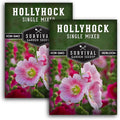 Single Mixed Hollyhock Seeds for Planting - Plant & Grow Colorful Tall Spikes of Flowers in Your Home Vegetable Garden - Non-GMO Heirloom Variety - Survival Garden Seeds (2 Packs)
