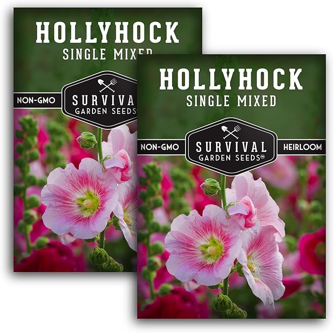 Single Mixed Hollyhock Seeds for Planting - Plant & Grow Colorful Tall Spikes of Flowers in Your Home Vegetable Garden - Non-GMO Heirloom Variety - Survival Garden Seeds (2 Packs)