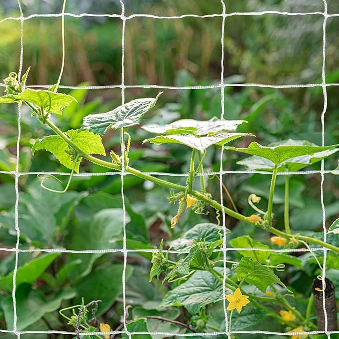 Tcamp Trellis Netting for Climbing Plants, Cucumber Trellis for Garden (5Ft x30Ft, 6" Square Mesh Ployester, 2 Pack)