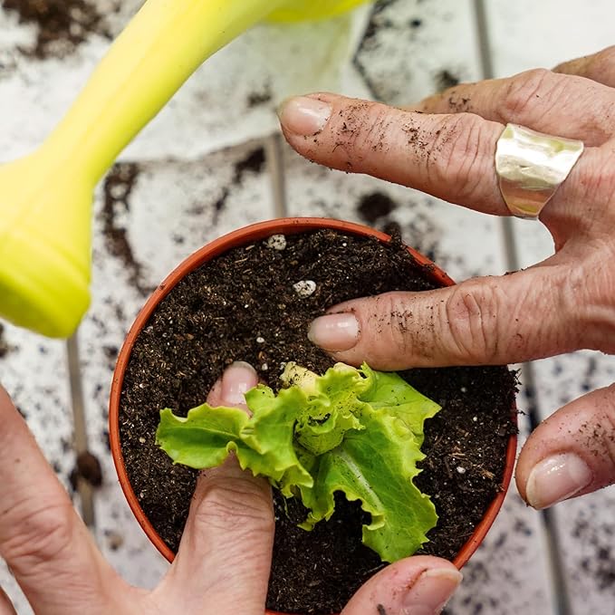 Organic Vegetable Soil Mix 2qt, Indoor Plants Potting Mix for All Potted Vegetable Like Tomatoes Lettuce Bell Peppers, Grow Healthy houseplants Indoors
