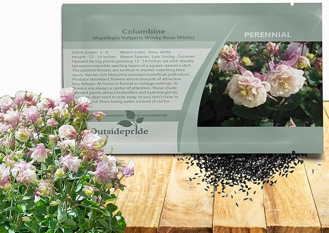 Outsidepride Rose White Columbine Seeds - 20 Pcs Perennial, Easy to Grow Flower Seeds for Planting, Suitable for Pollinator-Friendly Garden, Cut Floral Arrangements, Ground Covers, or Borders