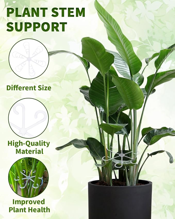 4 PCS Plant Stem Support, Climbing House Plant Stem Support, Plant Supports for Indoor Plants, Reusable Houseplant Accessories（Transparent）