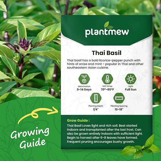 Thai Basil Seeds for Planting - 500 Heirloom, Non-GMO Seeds - Thai Basil Herb Seeds for Home Herb Garden, Indoor & Outdoor Herb Gardening