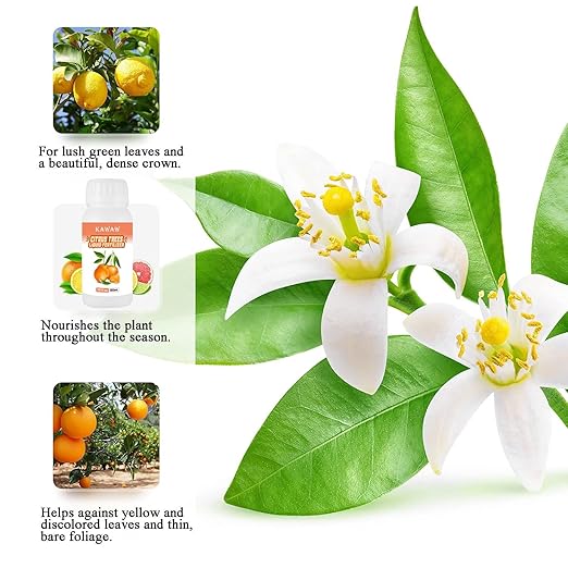 10oz Organic Citrus Tree Fertilizer - Microbial Probiotic Liquid Plant Food for Lemon, Lime, Orange & Olive Trees - Revitalizes Yellow Leaves & Roots