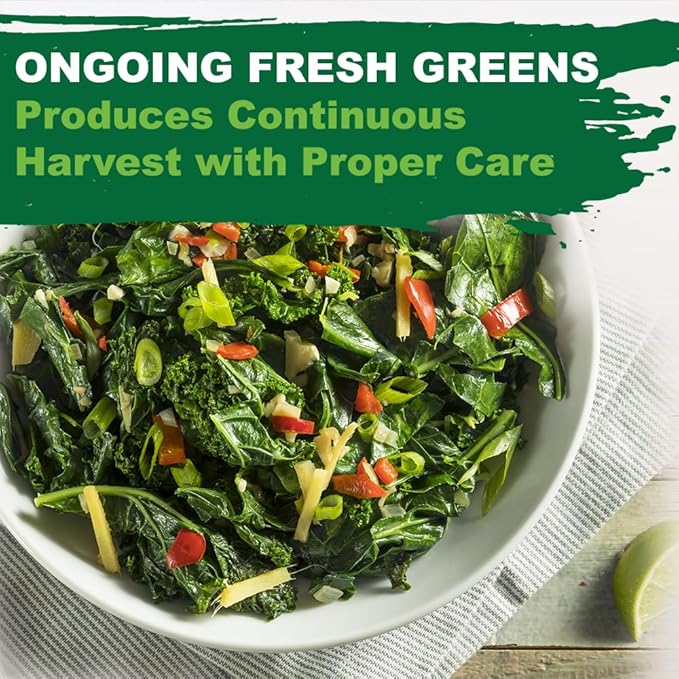 TKE Farms & Gardens - Georgia Southern Collard Green Seeds for Planting, 2 Grams, 225 Seeds, Non-GMO, Heirloom, Perfect Winter & Fall Vegetable Seeds, Includes Instructions, Brassica oleracea