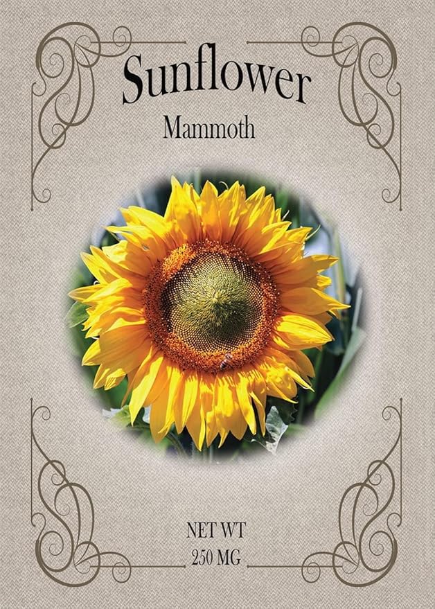 Black Duck Brand Set of Flower Seed Packets! Flower Seeds in Bulk - Great for Creating The Garden of Your Dreams! (50, Mammoth Sunflower)