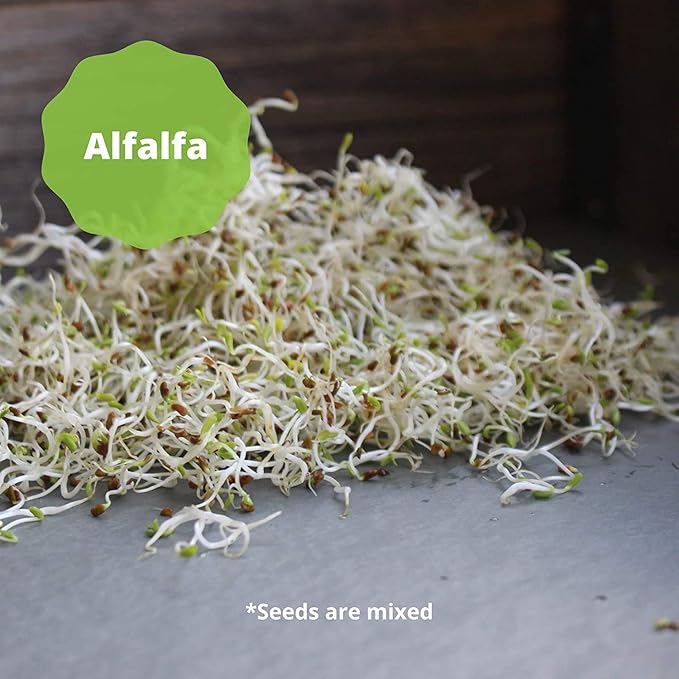 Handy Pantry Organic Salad Sprouting & Microgreens Mix – 1 LB – Non-GMO, High-Germination Blend of Alfalfa, Broccoli, Lentil, Mung Bean & Radish Seed – Fresh, Crisp Sprouts & Nutritious Micro Green