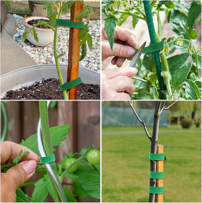 Green Plant Tape - Reusable Garden Tape for Outdoor Plants, Adjustable Plant Supports for Climbing Plants, Strong-Grip Plant Ties for Healthy Growth (16.4 ft x 0.6 inch, Green)