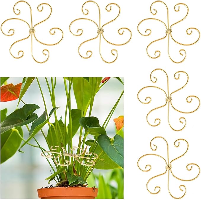 5 Pcs Plant Stem Support, Iron Monstera Plant Support, Durable Hook Stem Supports for Healthy Growth, Bamboo Clamp Set for Leaf Stabilization and Support, Ideal Present for Plant Lovers (6.5IN*6.5IN)