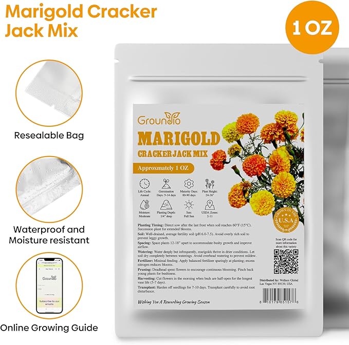 Groundio Marigold Seeds, 1 OZ Over 9500+ Seed, Cracker Jack in Mix Color for Planting Indoor & Outdoor, Attract Pollinators, Non-GMO | Heirloom | USDA Zone 2-11