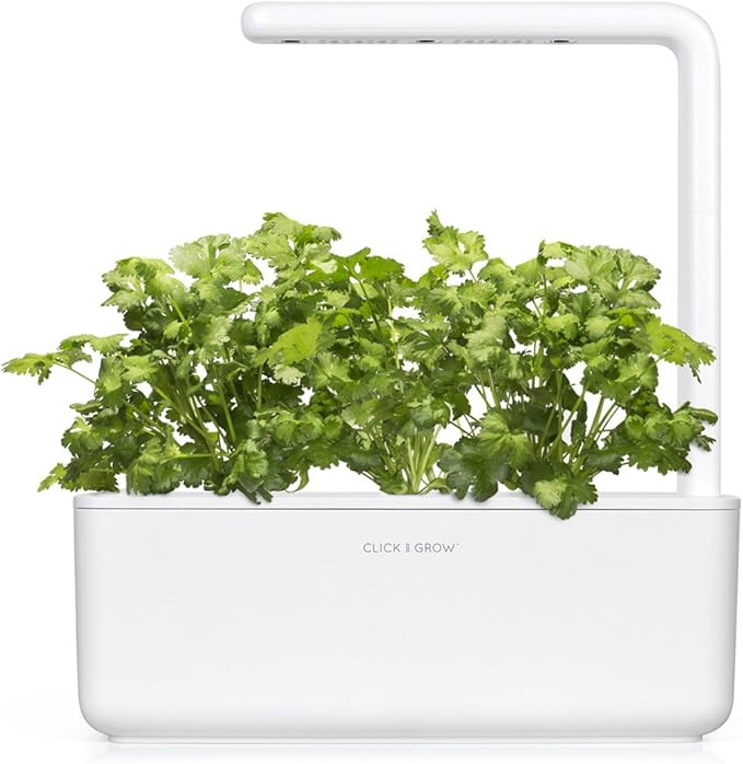 Click and Grow Smart Garden Cilantro/Coriander Plant Pods, 3-Pack