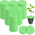 60-Pack Cloning Collars Inserts, Hydroponics Sponge Systems Cloning DIY Foam Cloner Inserts Fits 2" Net Pots for Hydroponic/DIY Cloner/Clone Machines/Plant Germination [Green]