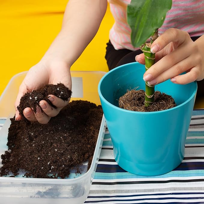 Premium Lucky Bamboo Soil Mix 1qt, Indoor Plants Potting Mix for All Potted Luncky Bamboo, Promote Healthy Growth and Longevity