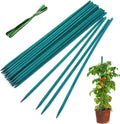 Garden Wood Plant Stakes Green Bamboo Sticks,HAINANSTRY Sturdy Floral Plant Support Stakes Wooden,Wooden Sign Posting Garden Sticks(25 Pack 12 Inches)