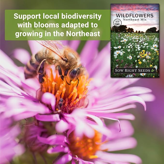 Sow Right Seeds - Wildflowers Seeds Mix for Planting in Northeast - Non-GMO Heirloom Varieties to Grow a Wild Flower Garden - Perennial and Annual Flowers to Attract Pollinators - Colorful Blooms (1)
