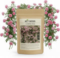600+ Climbing Rose Seeds for Planting Outdoors - Vibrant Vine Flower, Long-Blooming Ornamental Garden Blooms (Pink)