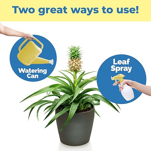 Pineapple Fertilizer – Liquid Plant Food for Bigger Fruit, Stronger Root Development & Healthy Tropical Growth, 8 oz