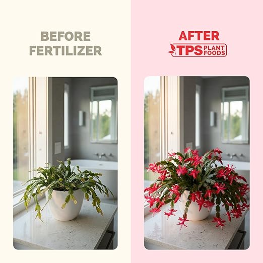 Christmas Cactus Fertilizer – Liquid Plant Food for More Blooms, Brighter Flower Color & Stronger Root Development, 8 oz
