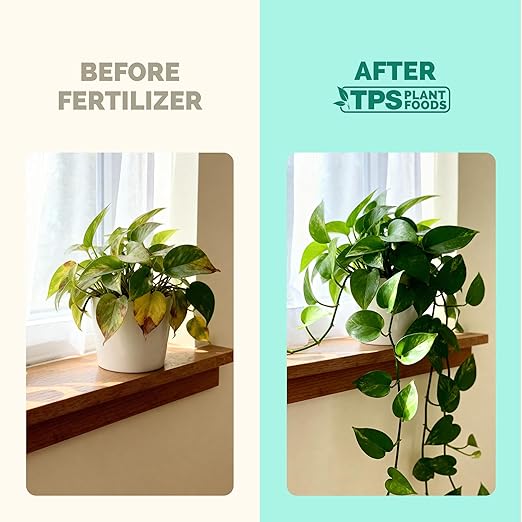 Indoor Plant Food – Liquid Fertilizer for Houseplants, New Growth, Greener Leaves, and Strong Roots, 8oz