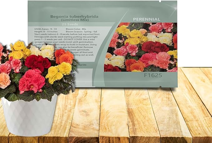 Outsidepride Mix Limitless Begonia Seeds for Planting - 25 Pcs Perennial Flower Seeds with Large Blooms, Arching & Pendulous Growth Habit, for Containers, Hanging Baskets, or Landscape Plantings