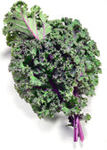 Todd's Seeds Red Russian Kale Seed - 1 Pound