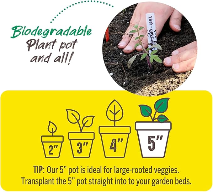 Jiffy Plant Pot - Organic Seed Starting, Biodegradable Pots for Seedlings - 5 in, 100 Pots - Peat