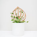 Treleaf Bare™ Peptrella™ – Customizable Wooden Peperomia Leaf Plant Trellis – Petite Size 9” Indoor Plant Support and Decorative Houseplant Stake for Potted Vines and Climbing Plants