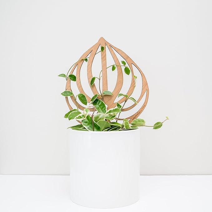 Treleaf Bare™ Peptrella™ – Customizable Wooden Peperomia Leaf Plant Trellis – Petite Size 9” Indoor Plant Support and Decorative Houseplant Stake for Potted Vines and Climbing Plants