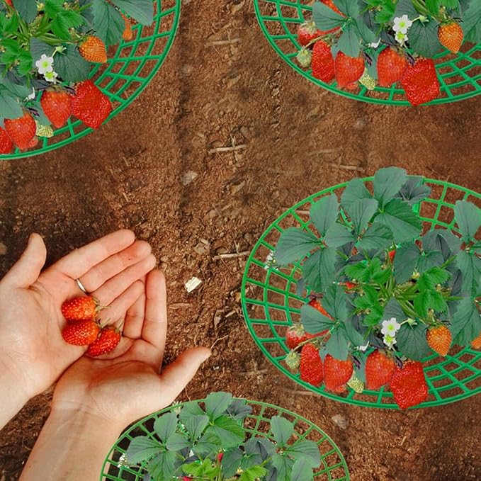 15 PCS Strawberry Supports,Strawberry Plant Support with Strawberry Logo Pattern,Strawberry Planting Rack with 3 Sturdy Support Feet to Prevent Strawberries From Rotting and Ensure Their Cleanliness.