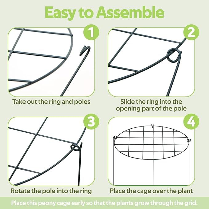 8 Pack Peony Cages and Supports - Grow Through Plant Support for Outdoor Plants - Sturdy Metal Support Frame for Peonies, Roses Flower Garden Cage - Wide Top Rings Bouquet Shape 12" D x 16" H
