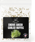 Fall & Winter Endive Curled Ruffec Seeds for Indoor & Outdoor Growing – 500+ Non-GMO Heirloom Frilly Salad Green, High Germination (Cichorium endivia)