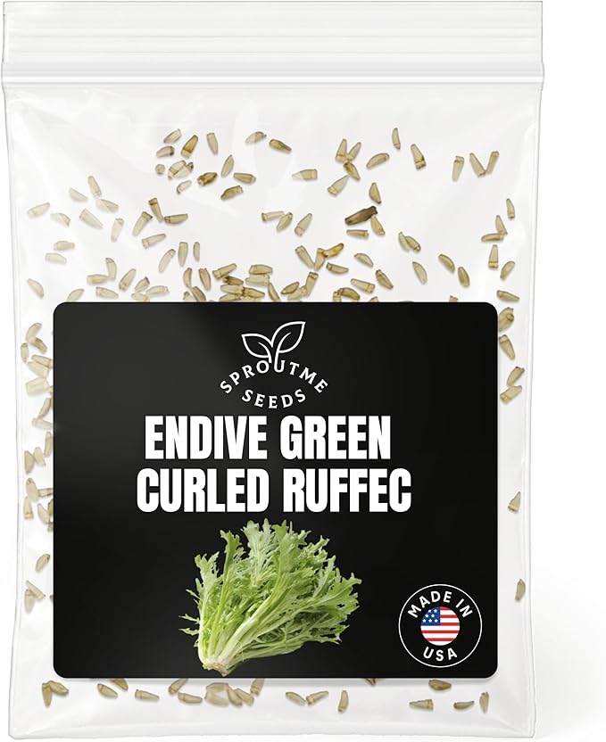 Fall & Winter Endive Curled Ruffec Seeds for Indoor & Outdoor Growing – 500+ Non-GMO Heirloom Frilly Salad Green, High Germination (Cichorium endivia)