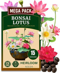 15 Lotus Seeds for Planting, Pack for 2026 USA Premium Non-GMO Seeds - Pink, Red & Green Color, Beautiful Water Plants for Indoor Bonsai, Outdoor Ponds and Gardens