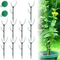 Stackable Monstera Plant Support, Garden Stakes for Climing Plants Stem Support, Plant Sticks for Outdoor Potted Plants, Pothos, Vine, Flower Use (10pcs)