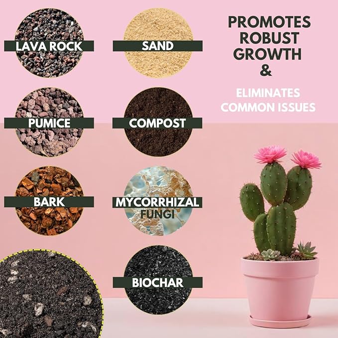 2.5 Dry Qt Cactus & Succulent Potting Soil Mix, USA Made - Gritty, Fast Draining, Soilless, Root Boosting, Peat-Free - Growth of Cactus, Succulents, Jade, Aloe Vera