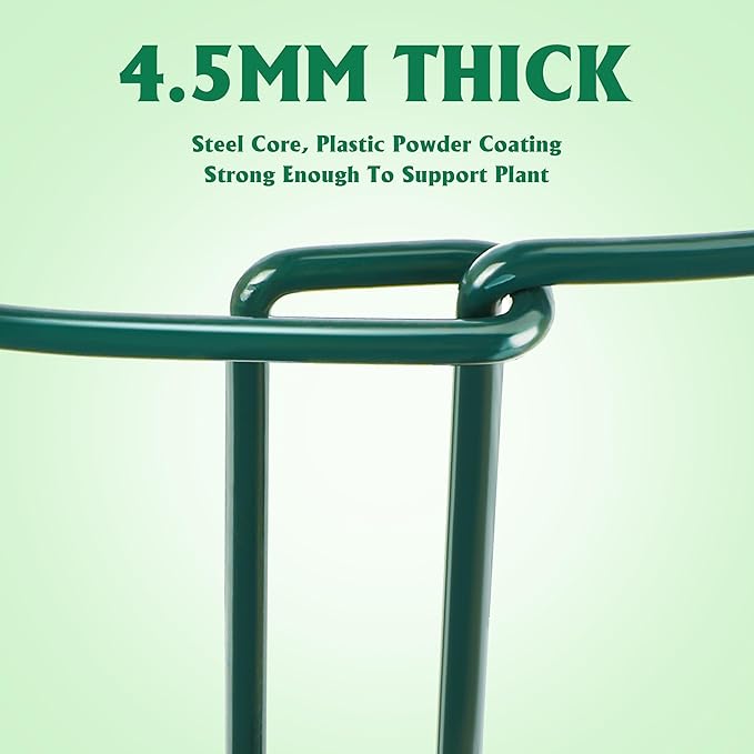 Plant Supports Stakes 6PCS, Half Round Metal Garden Stakes Plant Support for Peony Cages and Supports,Green Plant Support Ring Border for Outdoor Indoor Plants (10" W x 16" H, 6 PCS)