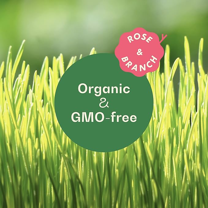Rose & Branch Organic Wheat Grass Seeds for Indoor Cats - Cat Grass Seeds - 16 Ounces - 100% Organic Non-GMO - Hard Red Wheat - Harvested in USA - Easy to Grow