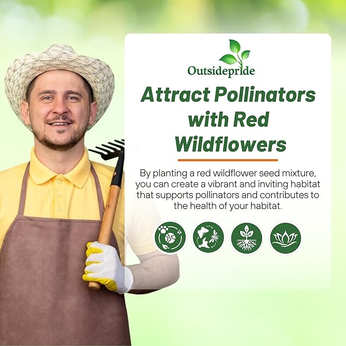 Outsidepride Red Color Shades Mix Wildflower Seeds - 10000 Pcs Annual Easy to Grow, Low Maintenance, Self-Seeding Flower Seeds w/Vibrant Blooms for Pollinator-Friendly Gardens, Containers & Borders