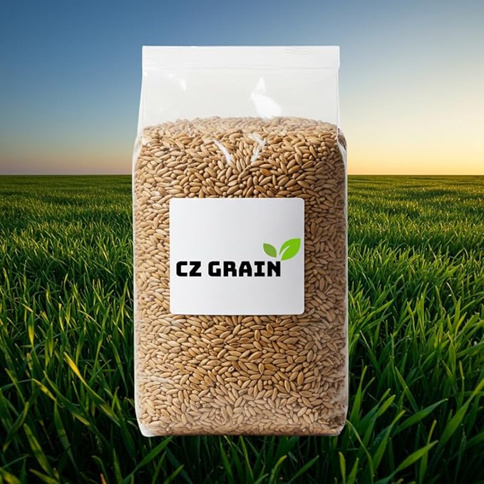 Perennial Ryegrass Seeds for Planting - Premium Quality Non-GMO Grass Seed for Lawns, Pastures, and Sports Fields (1/2 Pound)