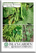 Kentucky Wonder Pole Bean Seeds (Phaseolus vulgaris) – 30+ Non-GMO Heirloom Seeds for Planting, Classic Climbing Variety with Tender Green Pods, by Isla’s Garden Seeds, Gift Idea for Gardeners