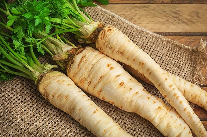 Seeds Parsnip Vegetable Heirloom Non GMO for Planting