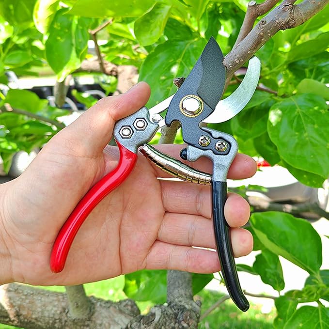 MEPEREZ Ultra Sharp Germany Titanium Steel Pruning Shears - Cuts 3X Easier, Weak Hand Arthritis Snips, Rust-Resistant, Effortlessly 1-Inch Cut Capacity Garden Scissors, Ergonomic Handle (gt-06, 1)