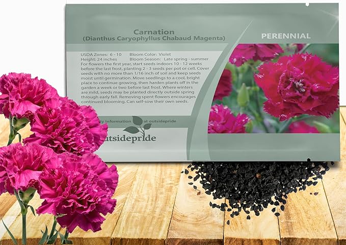Outsidepride Magenta Carnation Seeds - 1000 Pcs Perennial, Easy to Grow Flower Seeds for Planting with Fragrant Blooms, Ideal for Pollinators, Cutting Gardens, Bouquets, & Floral Arrangements