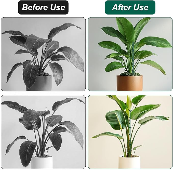 5 Pack Plant Pins for Indoor Plants Stackable Monstera Plant Support, Plant Stakes Climbing Plant Support Structures Plant Holder Stick Moss Pole for Support Tall Potted Plants Outdoor