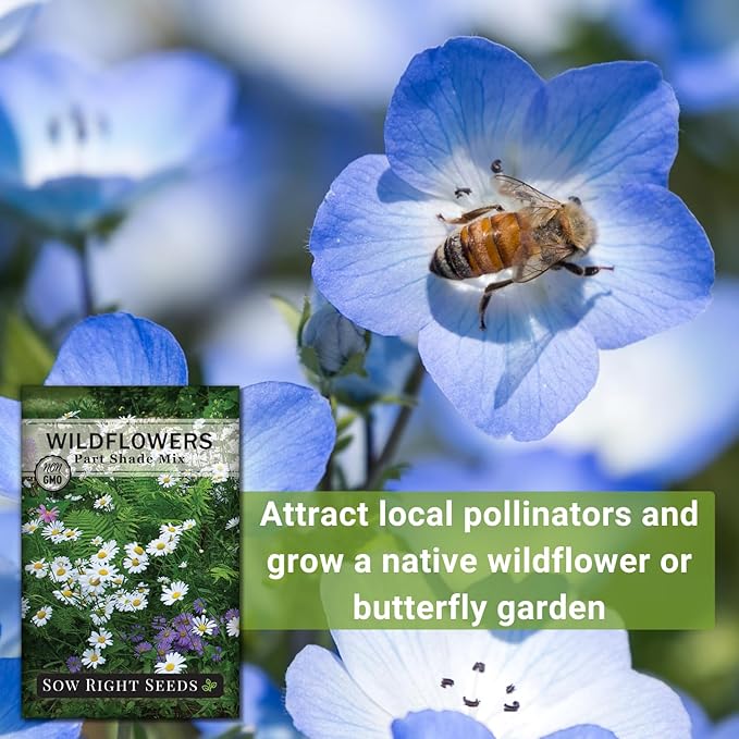 Sow Right Seeds - Wildflowers Seeds Mix for Planting in Partial Shade - Non-GMO Heirloom Varieties to Grow Wild Flower Garden - Perennial & Annual Flowers to Attract Pollinators - Colorful Blooms (1)