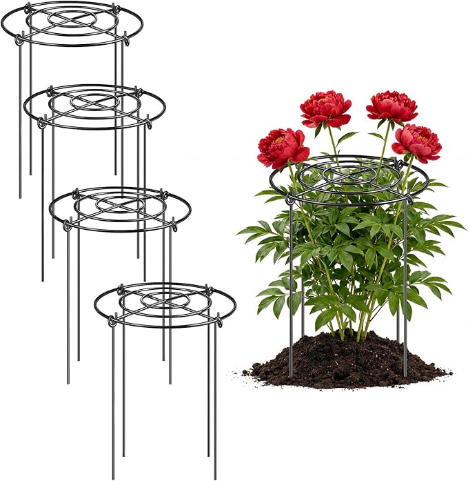 Peony Cages and Supports 4 Pack, 12x16 Inch Heavy Duty Metal Plant Cage for Outdoor Plants – Grow Through Flower Support Rings for Peonies, Roses, Tomatoes & Hydrangeas