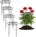 Peony Cages and Supports 4 Pack, 12x16 Inch Heavy Duty Metal Plant Cage for Outdoor Plants – Grow Through Flower Support Rings for Peonies, Roses, Tomatoes & Hydrangeas
