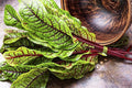 NIKA SEEDS - Seeds Herb Sorrel Bloody Dock Red Veined - 100 Seeds