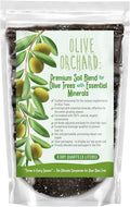 GARDENWISE Organic Olive Tree Potting Mix – Fast-Draining, Nutrient-Rich Soil for Indoor & Outdoor Olive Trees – Mediterranean Plant Care – Long-Lasting Formula (3 QUARTS)